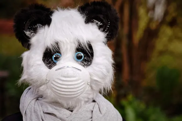 Оппа88888888 Казино Поддръжка